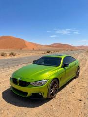 75454 Dynamic Lime